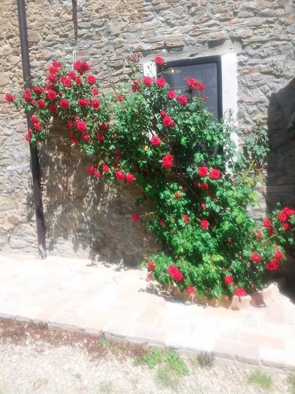 Agriturismo Mirasole بريدابيو المظهر الخارجي الصورة
